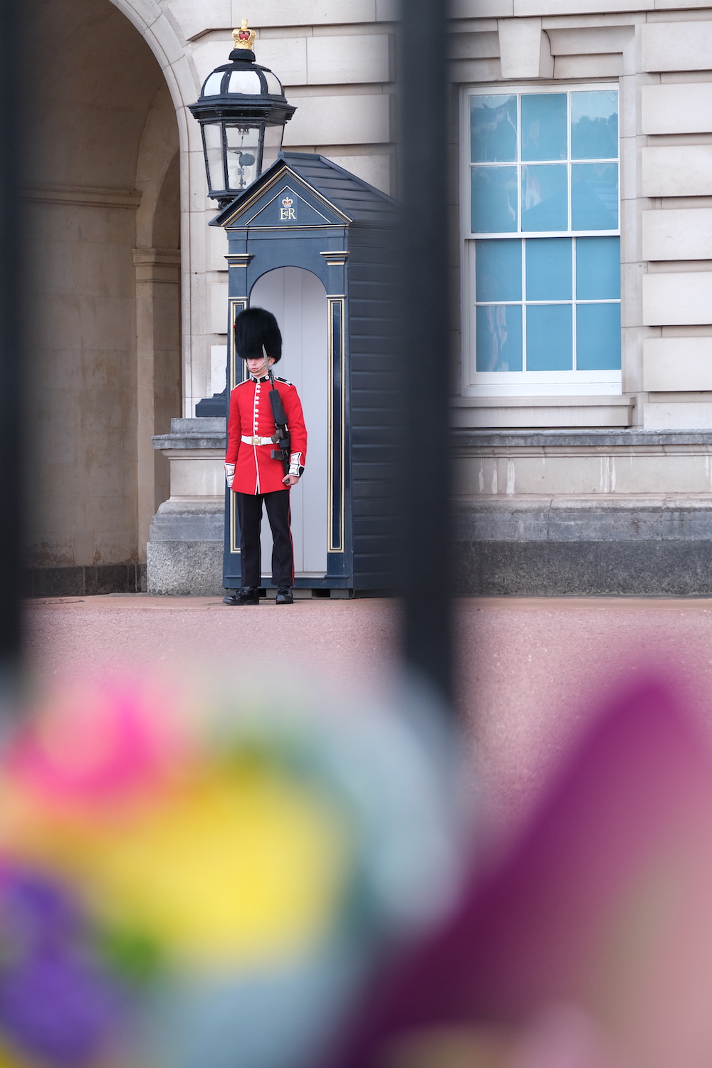 Guard at Buckingham Palace