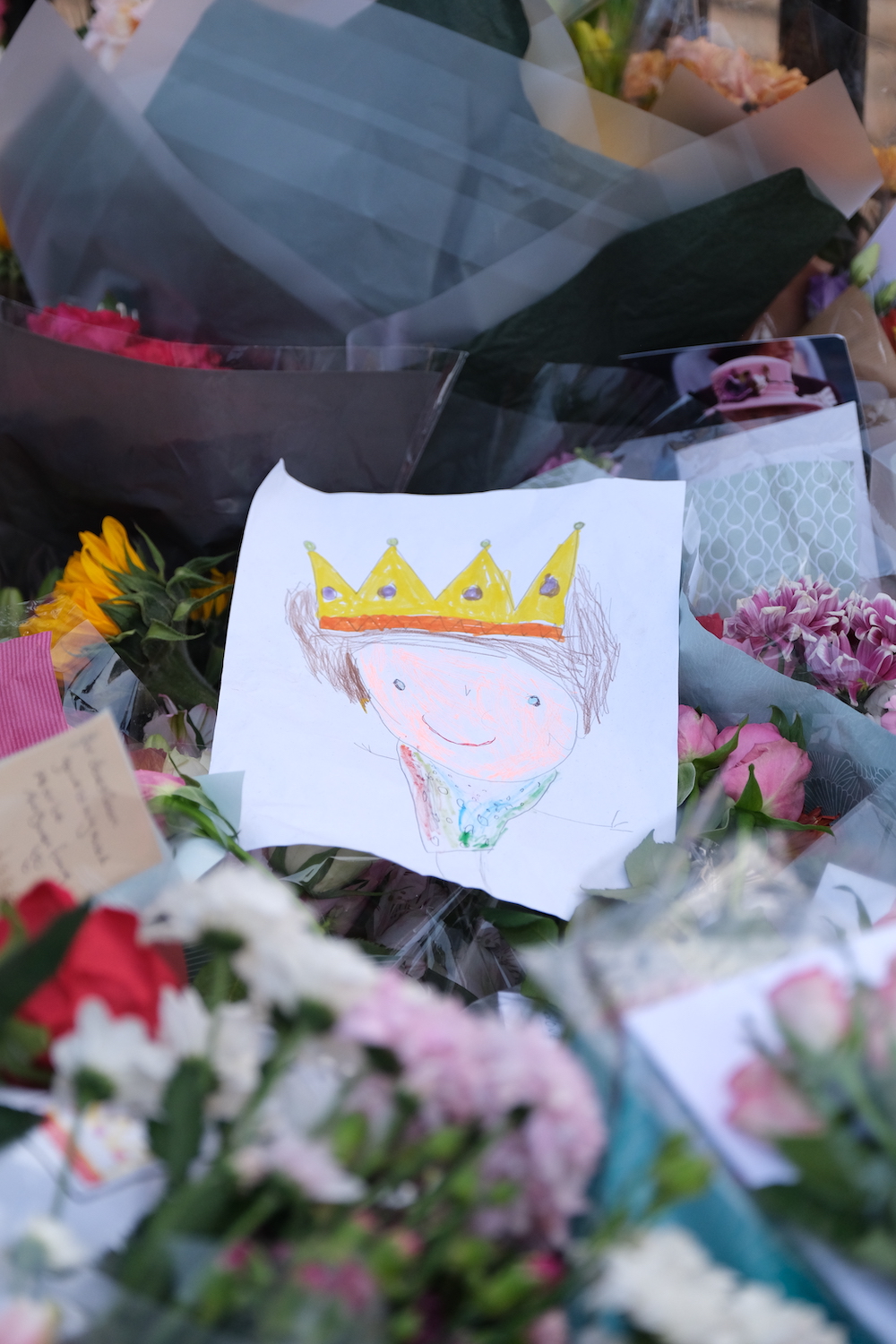 A drawing of the Queen outside Buckingham Palace